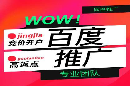 信息流广告代理案例成果展示